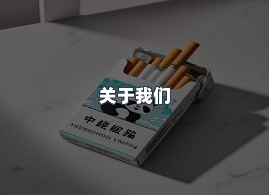 专业团队